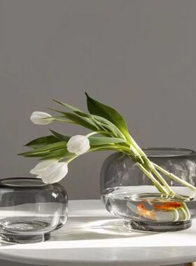 大肚透明玻璃花瓶水培植物生态鱼缸简约创意花器客厅插花摆件装饰