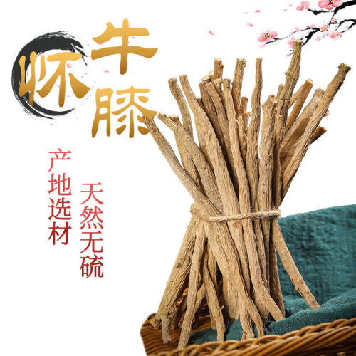 怀牛膝500g克包邮河南焦作土淮牛七漆牛膝夕红牛膝特级野生中药材 - 图2