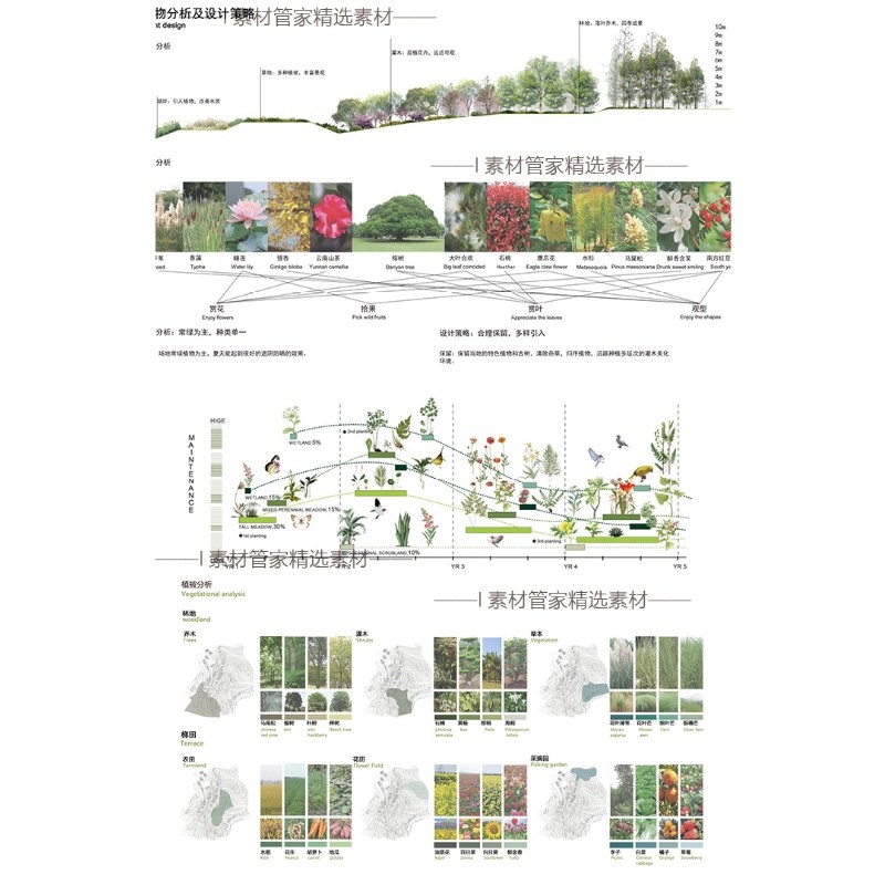 竞赛风植物配景前期分析景观园林设计策略植物植被PS文件PSD分层 - 图3