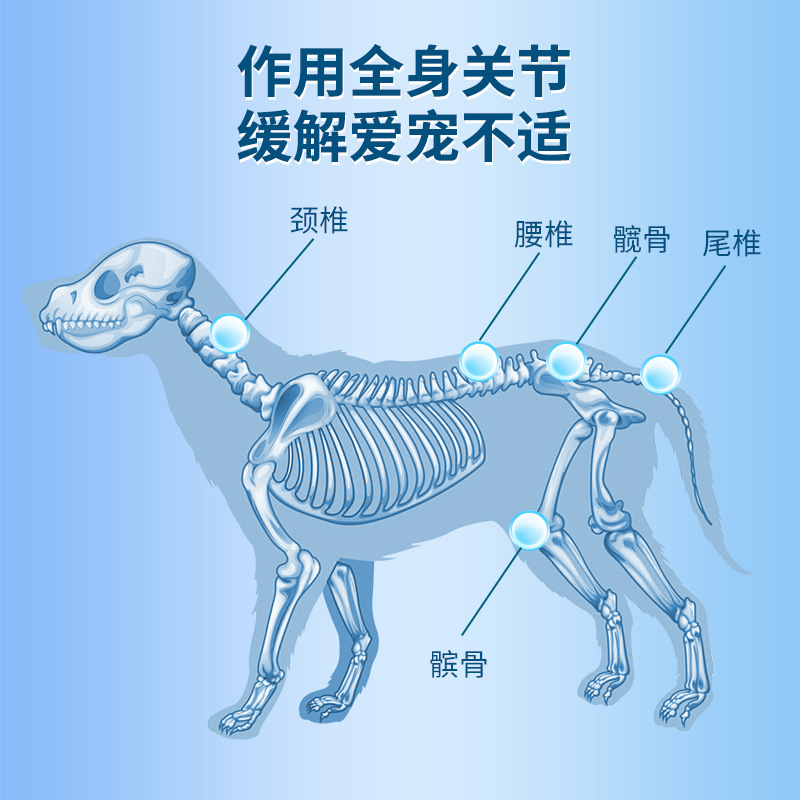 鲨鱼软骨素狗狗专用猫狗钙片老犬关节软骨素大小型宠物营养补充剂 - 图2