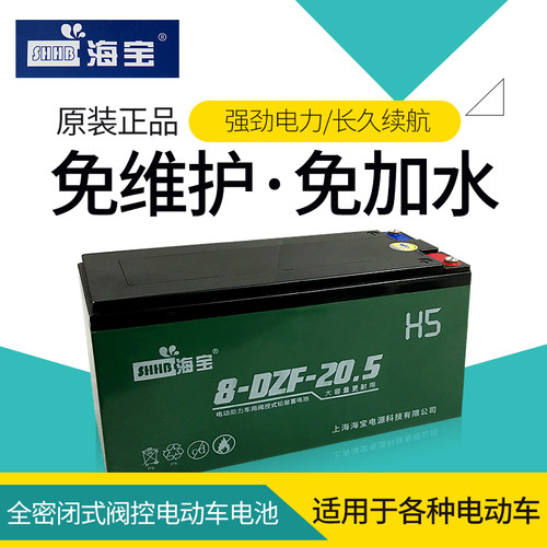 电动车电池电瓶12V48V60V72V12A20A34A蓄电池二轮三轮海宝电池 - 图0