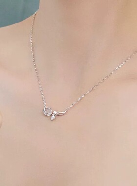 浪漫的不止玫瑰花~还有郁金香~