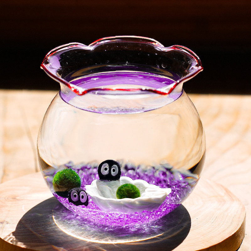 微景观生态瓶创意办公桌面小鱼缸DIY玻璃造景养生态网红礼物包邮,淘宝优惠券,粉丝福利购,淘宝优惠卷