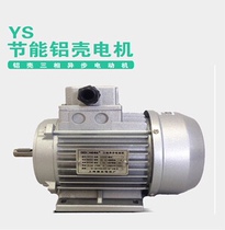 Shanghai Dedong motor YS6324 YS7124 aluminium shell three-phase asynchronous motor copper wire horizontal vertical motor