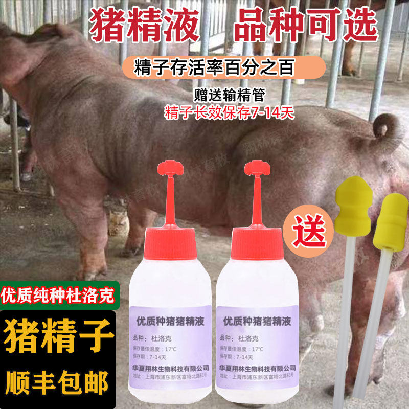 种猪精液 新人首单立减十元 22年10月 淘宝海外