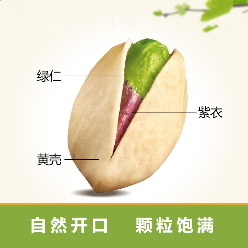沙漠玉珠大颗粒散装500g本色开心果 沙漠玉珠开心果