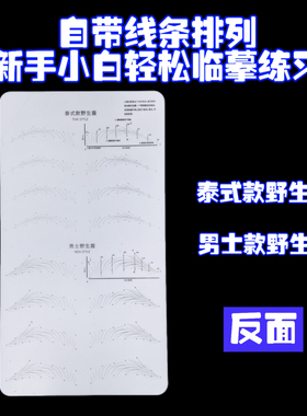 自带线条野生眉练习皮