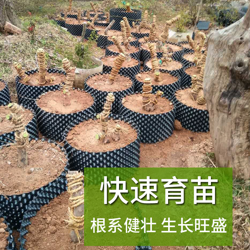 控根器植树专用通用型围树板塑料排水板移苗育苗容器阻根板围土栏