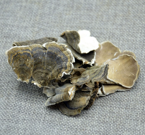 Susky Fangyama Sang Huang Changbai Mountain Ganoderma lucidum язык язык huang yunzhi poria fang chi chi chi chizhi chizhi