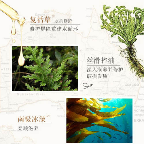 Plant voice 植物语录洗发水精油修护白松露控油蓬松去屑洗发露 - 图2