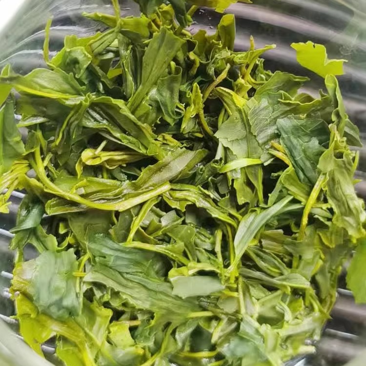 海南绿茶茶叶 高山春绿茶春芽散装500g2024年新茶五指山绿茶小泡