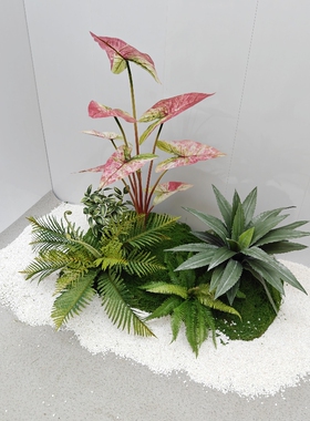 大波斯草插花蕨类造景仿真绿植