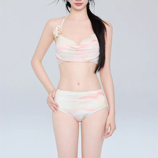 韩国ins网红高级感甜美花朵小胸聚拢比基尼裙式分体泳衣温泉泳装