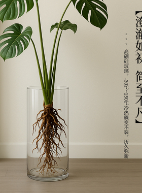 玻璃花瓶摆件客厅插花轻奢高级感大号透明水养龟背竹龙柳马醉木