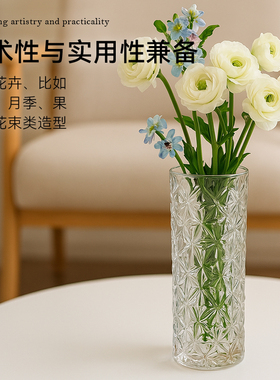 轻奢玻璃花瓶透明水养鲜花富贵竹ins风插花器皿客厅桌面装饰摆件