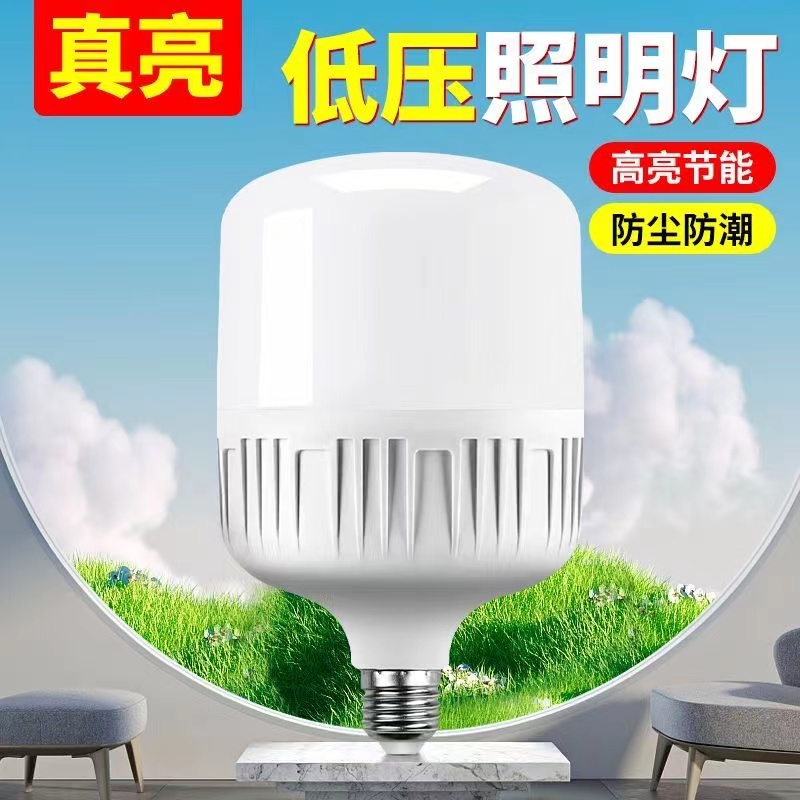 12V36V24伏低压灯led灯泡超亮节能省电家用e27螺口夜市地摊工地灯 - 图2