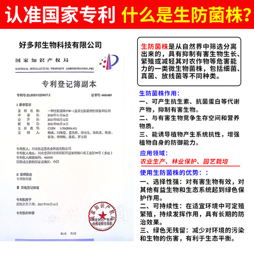 枇杷病专用杀菌剂国家专利配方枇杷炭疽病褐腐灰霉烟煤叶斑病腐烂 - 图0