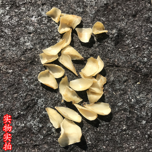 农家土特产本色药百合干无硫软糯易煮银耳莲子羹搭档250g包邮 - 图0