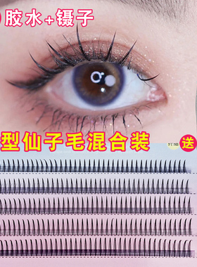 假睫毛A型仙子毛单簇分段式嫁接