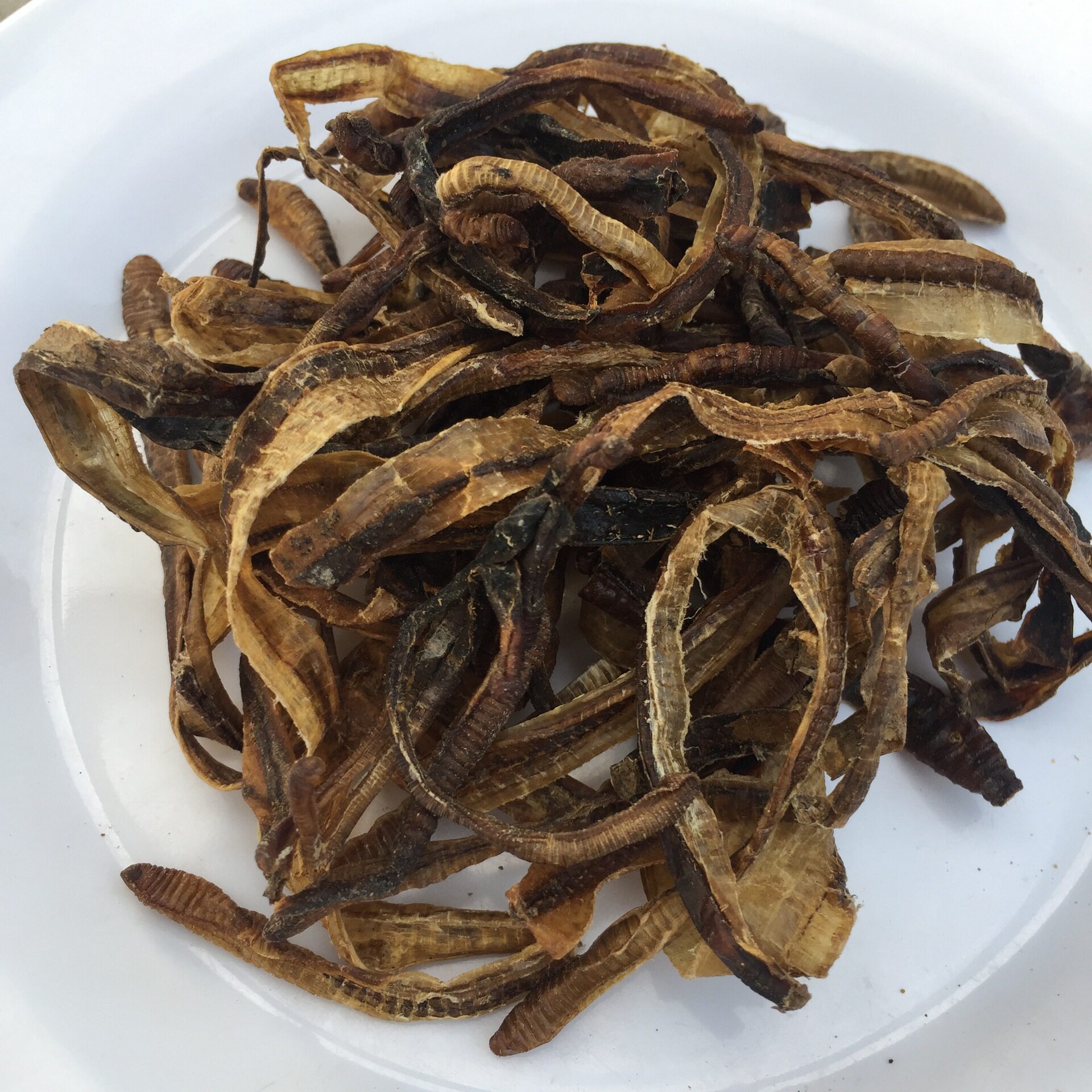 中药材店铺地龙500克半开干蚯蚓皮包邮蚯蚓干蚯蚓皮小地龙粉