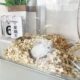 Transparent acrylic golden bear hamster cage large capacity