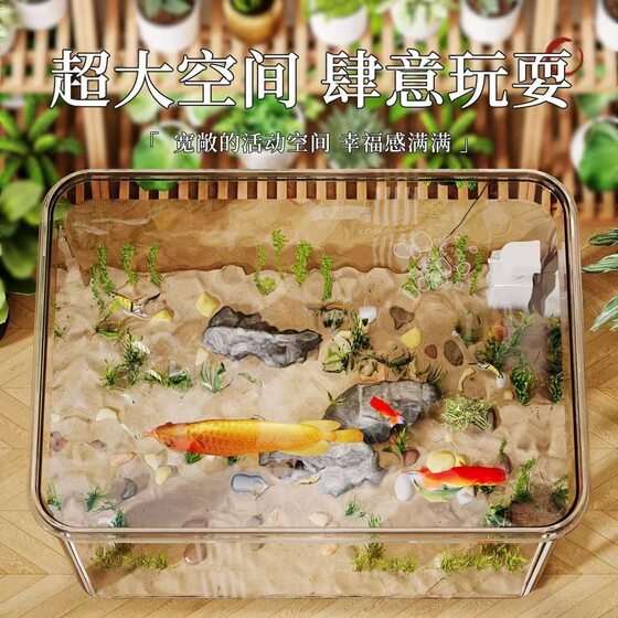 Acrylic desktop fish tank small living room desk ecological freshwater tank transparent 2026 new ultra-white aquarium