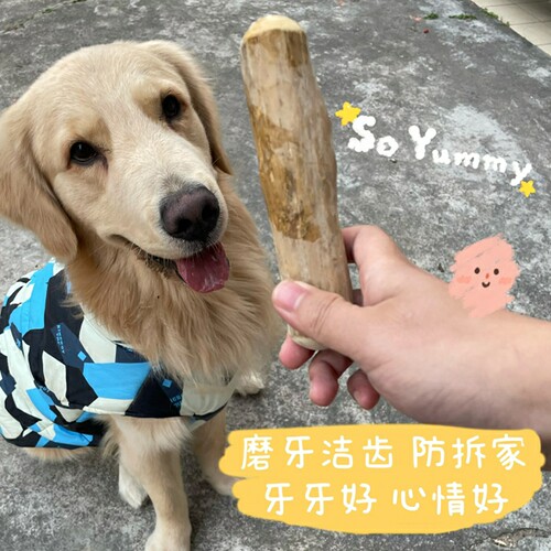 PetWoo精选狗狗磨牙棒耐咬解闷除口臭洁齿防拆家玩具天然咖啡木 - 图1
