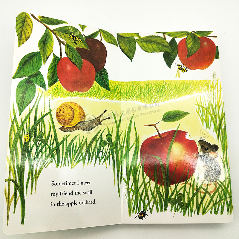 现货 幼儿绘本阅读英文原版启蒙绘本纸板书I am a Mouse,A Golden Sturdy我是一只老鼠0-3岁儿童英语启蒙金色童书I am a bunny系列,淘宝优惠券,粉丝福利购,淘宝优惠卷