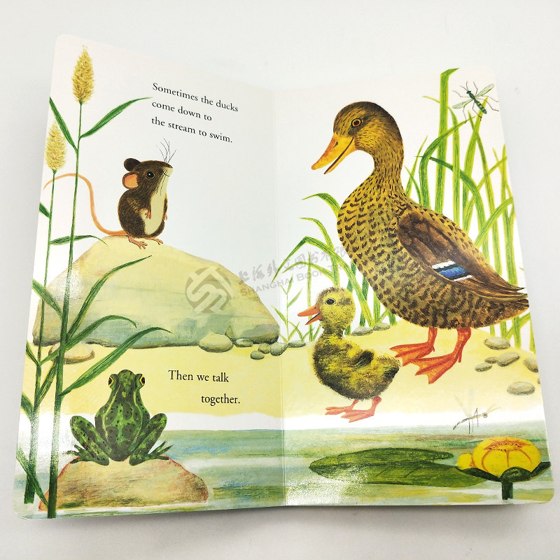 现货 幼儿绘本阅读英文原版启蒙绘本纸板书I am a Mouse,A Golden Sturdy我是一只老鼠0-3岁儿童英语启蒙金色童书I am a bunny系列,淘宝优惠券,粉丝福利购,淘宝优惠卷