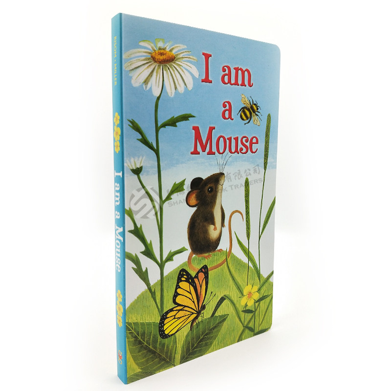 现货 幼儿绘本阅读英文原版启蒙绘本纸板书I am a Mouse,A Golden Sturdy我是一只老鼠0-3岁儿童英语启蒙金色童书I am a bunny系列,淘宝优惠券,粉丝福利购,淘宝优惠卷