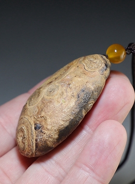 【天然眼图】九眼石页岩原石吊坠 钱币石手玩件 楼叔孤品