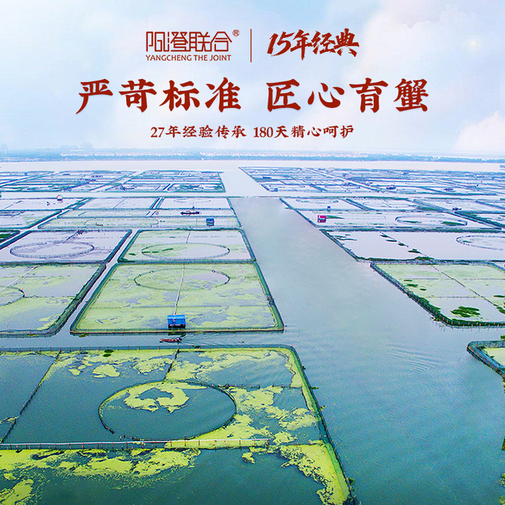 【活蟹】阳澄联合鲜活大闸蟹现货全母蟹12只螃蟹海鲜礼盒源头直发,淘宝优惠券,粉丝福利购,淘宝优惠卷