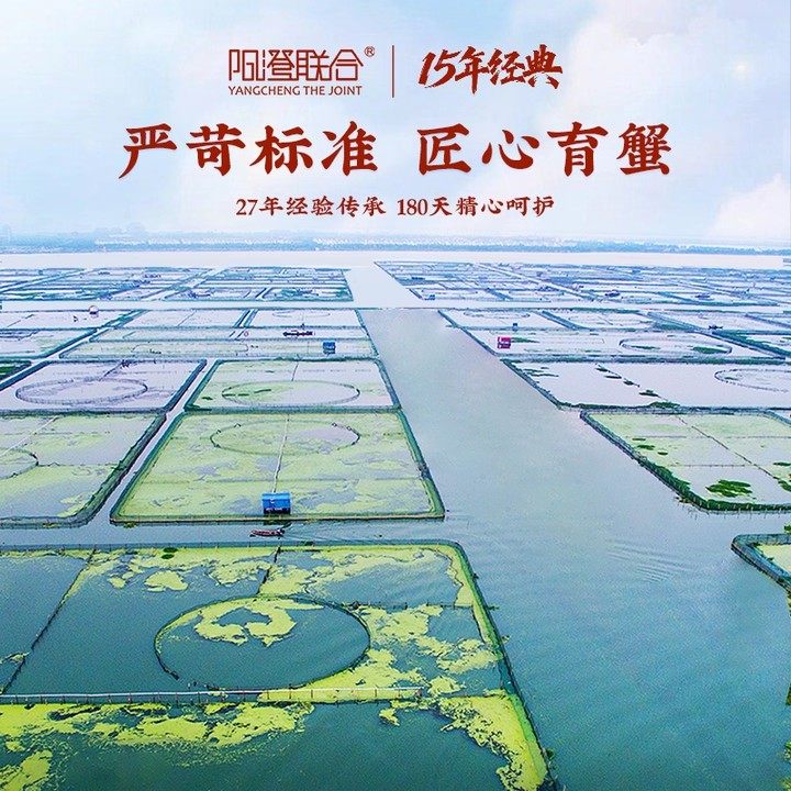 【活蟹】阳澄联合精品鲜活大闸蟹官方旗舰店河蟹全母蟹毛蟹大螃蟹,淘宝优惠券,粉丝福利购,淘宝优惠卷