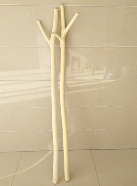 干树枝树干装饰树北欧