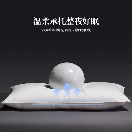 Jiejiegao Class A Silk Pillow 100 Mulberry Silk Pillow Core