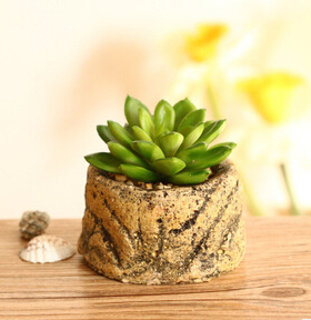 仿真小盆景摆件多肉植物创意陶瓷