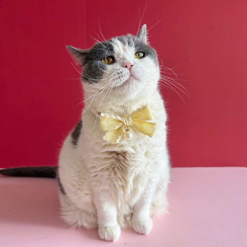 Autumn pet collar bow tie dog collar cute bow kitten accessories pendant pearl small floral fresh