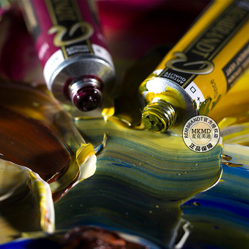 荷兰进口Rembrandt泰伦斯伦勃朗油画颜料大师艺术家级40ml120色 - 图2