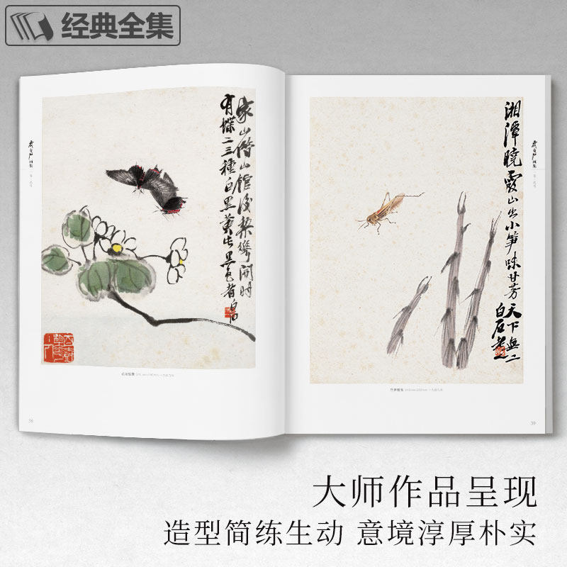 齐白石画集 一卷花鸟 8开画册写意范本书籍虫草牡丹荷花中国画零基础入门临摹少儿童技法教材教程 杨建飞主编,淘宝优惠券,粉丝福利购,淘宝优惠卷