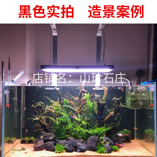 红火山岩 黑火山石大块园艺水族造景罗汉鱼 鱼缸过滤垫底颗粒石头 - 图1