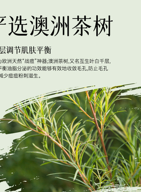 清洁泥膜去闭口粉刺深层清洁