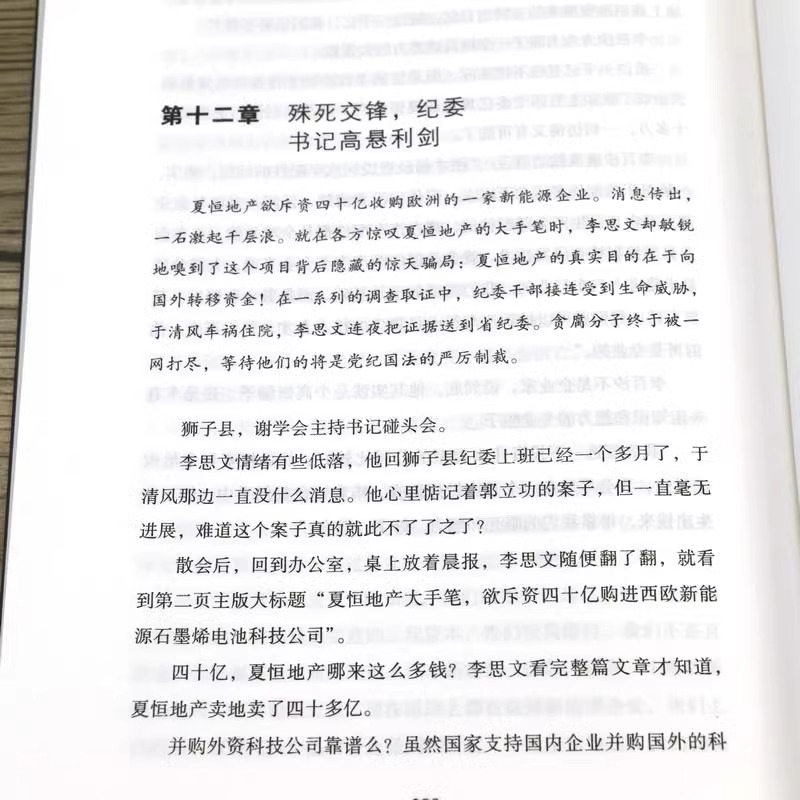 2册 纪委书记 罗晓作品现当代文学官场小说全集官场系类小说官场职场小说书籍 - 图1