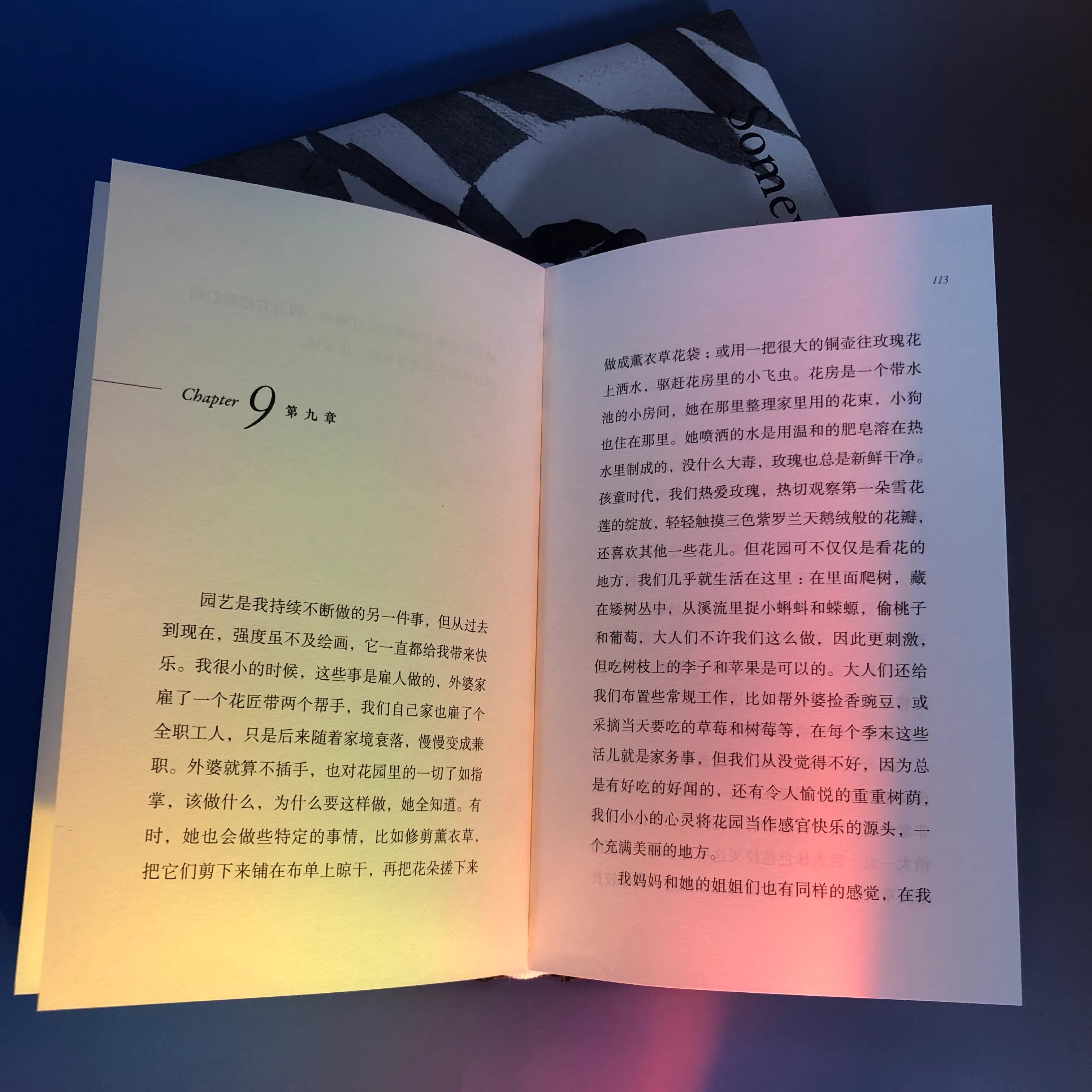 后浪正版现货 暮色将尽 戴安娜阿西尔著 20世纪英国传奇女编辑89岁漫谈独身老年生活 独身主义文学传记回忆录 - 图1