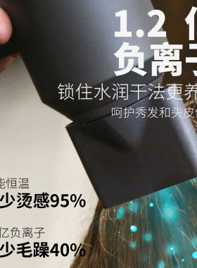 德国电吹风机家用负离子护发理发店专用大功率发廊风筒不伤发静音