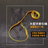 Собачья многофункциональная стимула воротнич