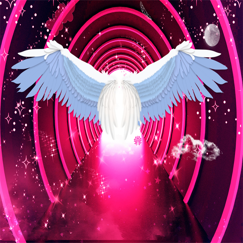 网红新款粉色翅膀直播背景布3D立体直播间淘宝拍照摄影主播背景墙-图1
