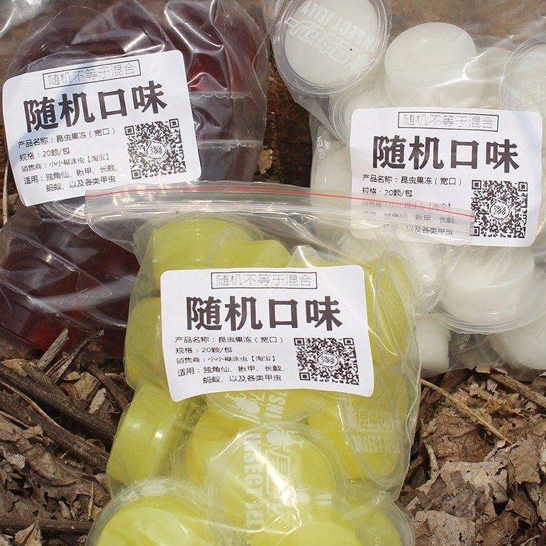 甲虫果冻独角仙锹甲饲料蛋白黑糖蚂蚁食物昆虫宠物成虫吃的带食台,淘宝优惠券,粉丝福利购,淘宝优惠卷