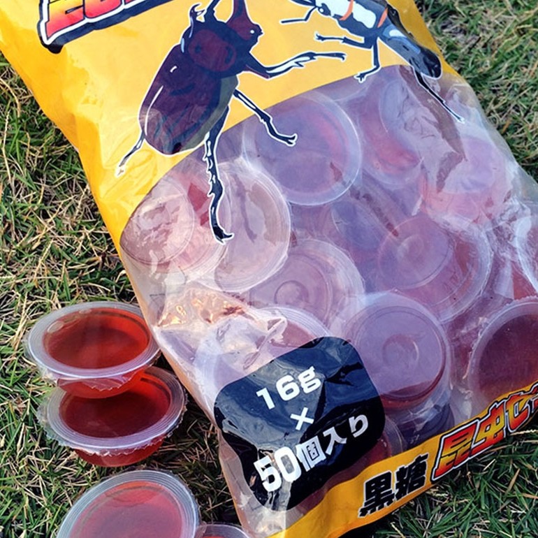 甲虫果冻独角仙锹甲饲料蛋白黑糖蚂蚁食物昆虫宠物成虫吃的带食台,淘宝优惠券,粉丝福利购,淘宝优惠卷