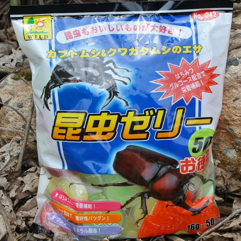 甲虫果冻独角仙锹甲饲料蛋白黑糖蚂蚁食物昆虫宠物成虫吃的带食台,淘宝优惠券,粉丝福利购,淘宝优惠卷