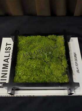 微景观鲜活苔藓大理石现代